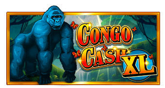 Congo Cash XL